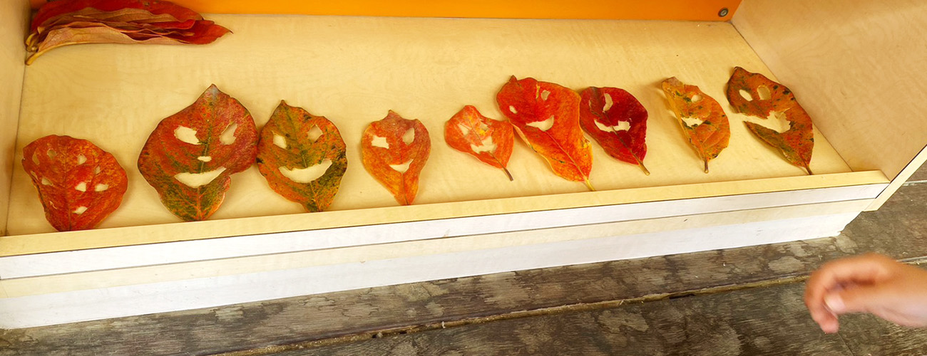 書類ダウンロードの写真