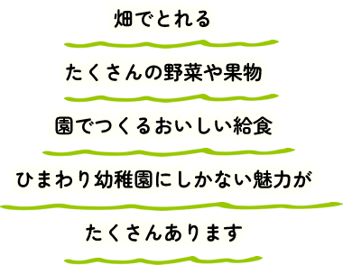 畑でとれるたくさんの野菜や果物園でつくるおいしい給食ひまわり幼稚園にしかない魅力がたくさんあります