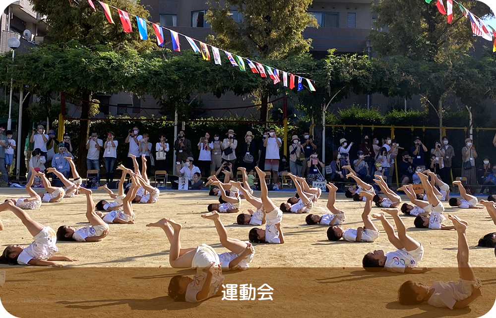 運動会の写真